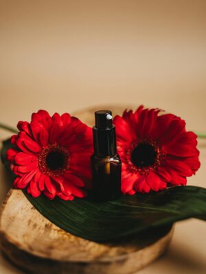 Spray Bottle Near Red Flowers